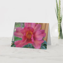 Agradecimento Cartão de Boas Festas do Dia das Mães Julia Rose P
