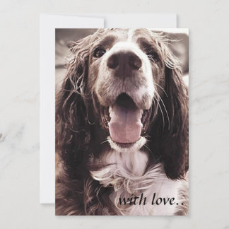 Agradecimento Cartão de cumprimentos do spaniel de Springer