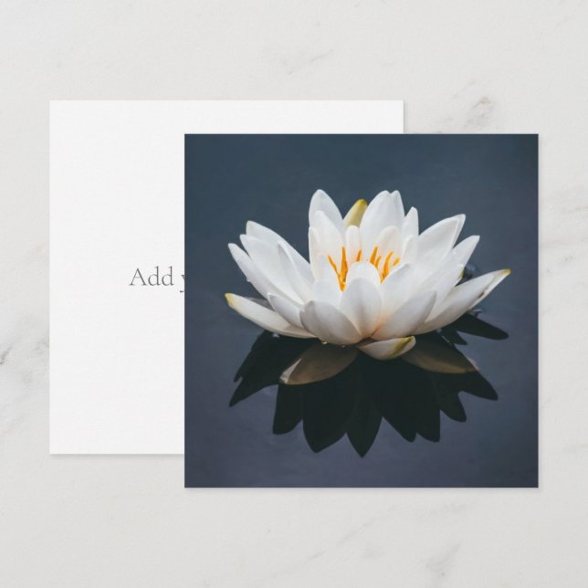 AGRADECIMENTO CARTÃO DE FOLHA ÚNICA: LOTUS NA ÁGUA (Frente/Verso)