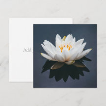 CARTÃO DE FOLHA ÚNICA: LOTUS NA ÁGUA