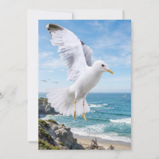 Agradecimento Cartão de Fotografia de Gaivota, Presente de Natur