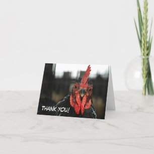 Agradecimento CARTÃO DE FRANGO: Obrigado