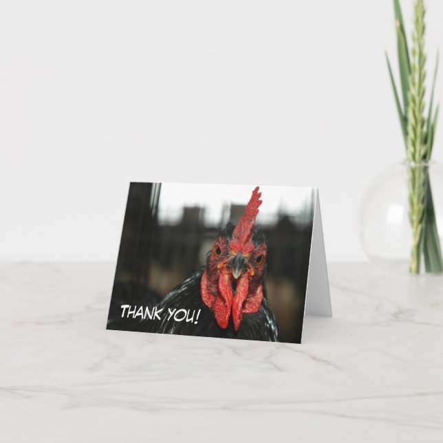 Agradecimento CARTÃO DE FRANGO: Obrigado (Frente)