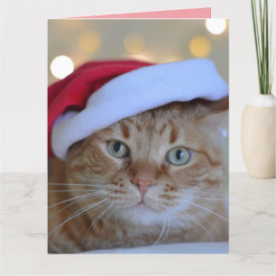 AGRADECIMENTO CARTÃO DE GREETING DE GATO GINGER DE NATAL