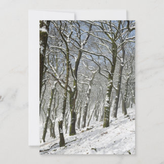 Agradecimento Cartão de inverno para a floresta de Macclesfield
