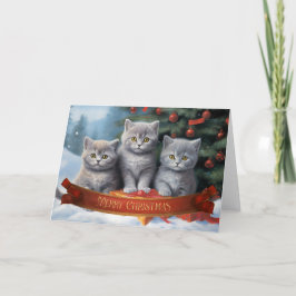 Agradecimento Cartão de natal britânico de gatinhos de curta dis