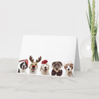 AGRADECIMENTO CARTÃO DE NATAL COM CÃES CELEBRAR NATAL