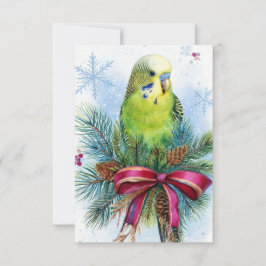 Agradecimento Cartão de Natal de Fita de Parakeet e Natal