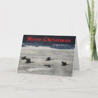 Cartão de Natal de Gansos do Canadá sobre o Rio Co