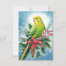 Cartão de Natal de Parakeet e Candy Cane