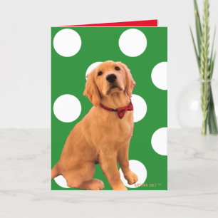 Agradecimento Cartão de Natal do Cão Dourado