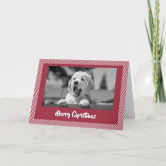 Agradecimento Cartão de Natal do Golden Retriever Sorridente