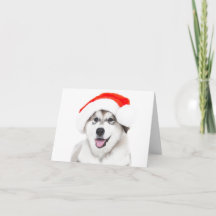CARTÃO DE NATAL FILHOTE HUSKY COM CHAPÉU DE PAPAI