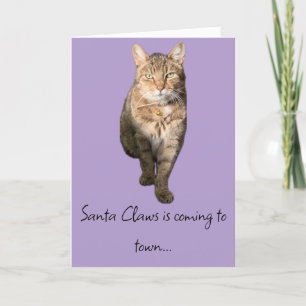 Agradecimento Cartão de Natal humorístico com um gato encantador