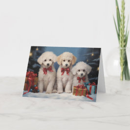 Agradecimento Cartão de Natal para cães de Poodle
