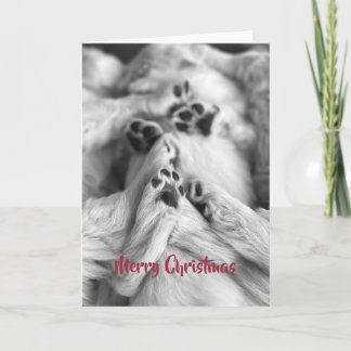 Agradecimento Cartão de Natal Patas de Cachorrinho Retriever Dou
