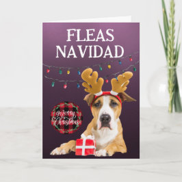 Agradecimento Cartão de Natal personalizado de Staffordshire Ter