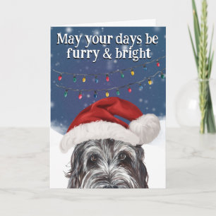 Agradecimento Cartão de Natal Personalizado do Cão de Água Portu