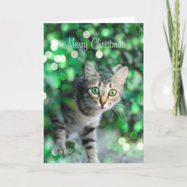 Agradecimento Cartão de Natal Personalizado Gato