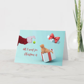 Agradecimento Cartão de Natal Puppy