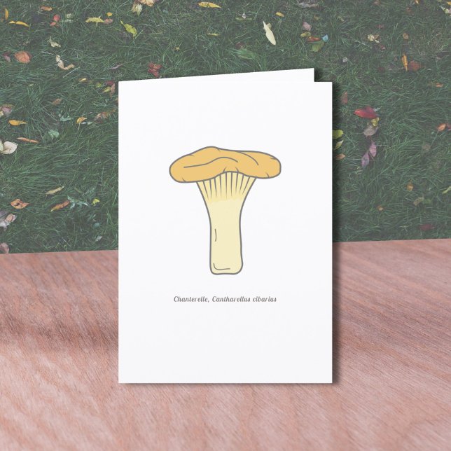 Agradecimento Cartão de Saudação Botânico Chanterelle Mushroom (Botanical Chanterelle Mushroom Greeting Card)