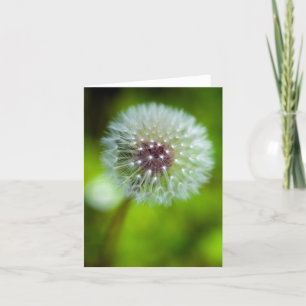 Agradecimento Cartão de saudação Dandelion