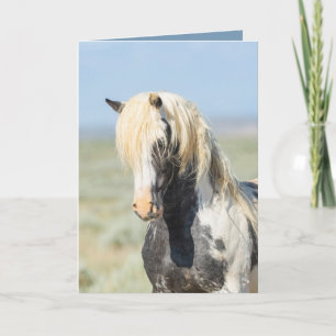 Agradecimento Cartão de Saudação de Cavalo Selvagem do Retrato C