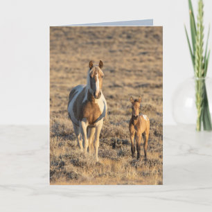 Agradecimento Cartão de Saudação de Cavalo Selvagem - Grace e Do