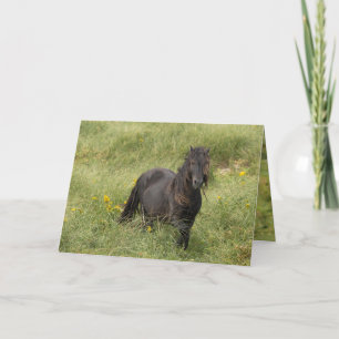 Agradecimento Cartão de Saudação de Stallion da Ilha Wild Sable