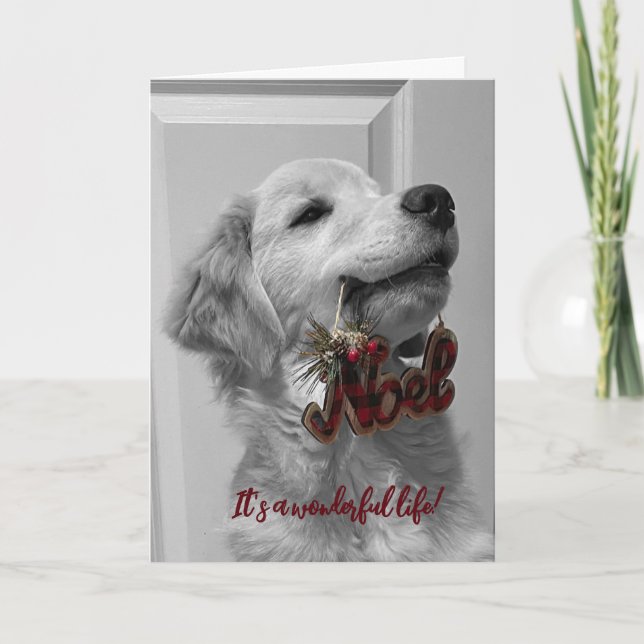 Agradecimento Cartão de Saudação de Vazio de Aventuras de Archie (Frente)