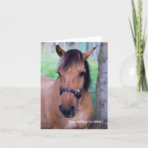 Agradecimento Cartão de saudação do cavalo Fjord Norueguês