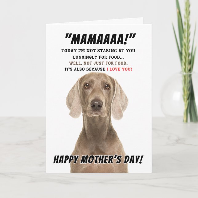 Agradecimento Cartão de saudação do dia de as mães Weimaraner (Frente)