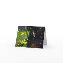 Cartão de Saudação do Vazio Hummingbird