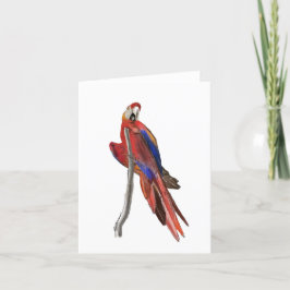 Agradecimento Cartão de saudação em branco com design de Arara V