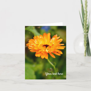 Agradecimento Cartão de Saudação Laranja Marigold