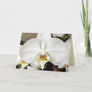 Agradecimento Cartão de Saudação Orquídea Branco