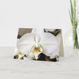 Agradecimento Cartão de Saudação Orquídea Branco
