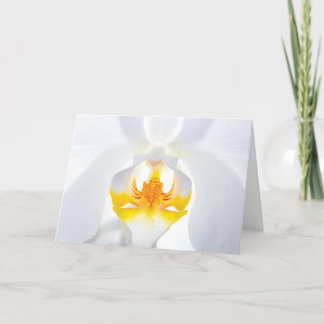 Agradecimento Cartão de Saudação Orquídea Branco