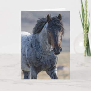 Agradecimento Cartão de Saudação para Cavalo Selvagem - Azul e S