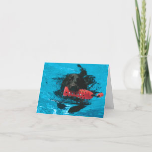 Agradecimento Cartão de saudação pequeno