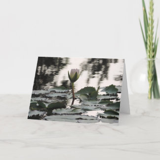 Agradecimento Cartão de Saudação Personalizável: Fotografia de N