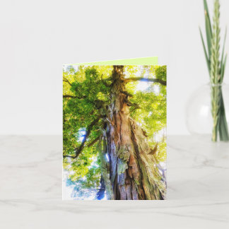 Agradecimento Cartão de Saudação Shagbark Hickory