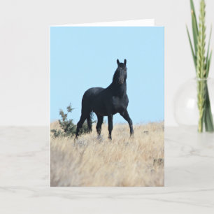 Agradecimento Cartão de Saudação Wild Stallion Voodoo