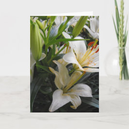 Agradecimento Cartão de vazio com flores brancas