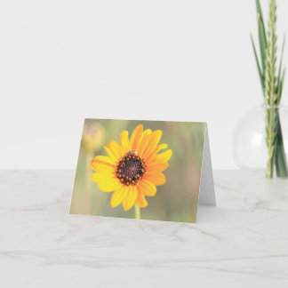 Agradecimento Cartão de Visita com Abelha em Coreopsis