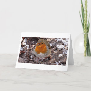 Agradecimento Cenas de inverno - Robin - cartão de saudação