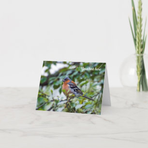 Agradecimento Chaffinch bird Cartão de saudação