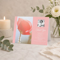 Agradecimento de Simpatia Papoula Rosa Blush