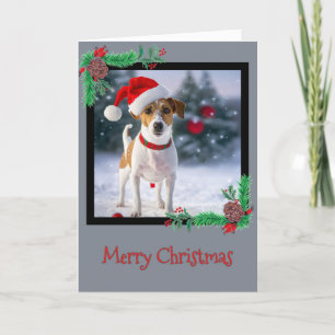 Agradecimento Feliz Natal Jack Russell Terrier - Cartão de Sauda
