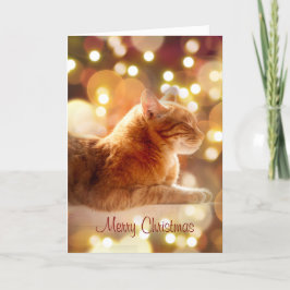 Agradecimento Gatinho Pacífico com Luzes de Natal Cartão de Féri